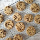 Coconut Chocolate Chip Cookies (Gluten Free and Vegan!)